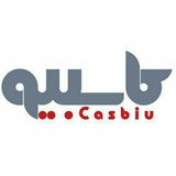 ir.carenapp.casbiu_driver