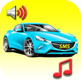 com.mygoodtonesinc.carsrts