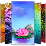 com.andromo.dev623845.app678862