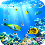 com.Aquarium.wallpaper.image.background.wallpaper