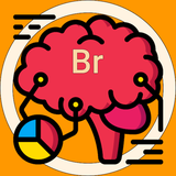 com.stormiq.brain