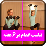 com.apphtml.Fitness.in6weeks