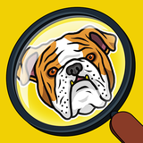 com.curioso.searchandfind