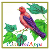 com.cintamiapps.coloredpencildrawing