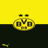 logo.fotbal