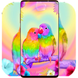 com.BirdWallpaper.animalwallpaper.flyingbirdwallpaper.background