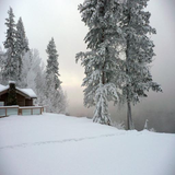 snow.live.wallpaper
