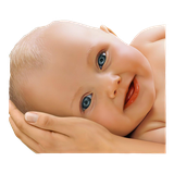 Darchin.TaghziyeBardari