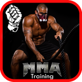com.chelin.mmatrainingandfitness
