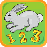 ru.miroch.rabbits