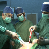 com.kmzco.raveshhayejarrahii