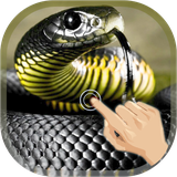 com.cobra.attack.psi.android