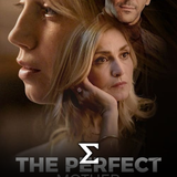 com.enigma.series.the_perfect_mother