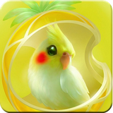 com.appmakerz.parrotwallpapers