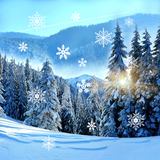 com.blackbirdwallpapers.winter