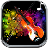 mr.violon