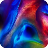 com.Huawei.Honor.Magic2.Wallpaper