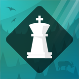 com.playmagnus.development.magnustrainer