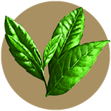 ir.arzanikamran.porkhasiat