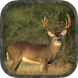 com.picobrothers.whcf