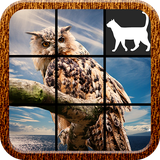 com.FatCat.AnimalPuzzle