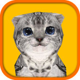 com.karlobencic.CatSimulator