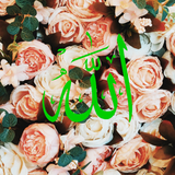 com.weblinkstech.islamicwallpapers