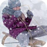 com.sfg.sledsim