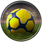 com.bluegames.realfootball3d2018