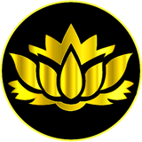 com.selfhealing.chakrasnumber1