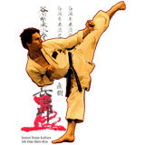 com.silan.kyokushinkarate