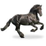 com.HorseLiveWallpaper