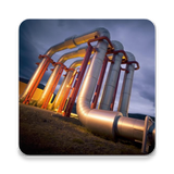 in.softecks.pipingengineeringqa