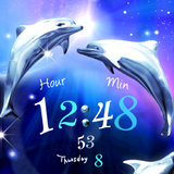 dolphinblue_rooty_pict_free.livewallpaper