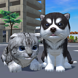 com.vARDAmirsGameStudio.CutePocketCatAndPuppy3D