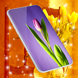 parallax.tulips.live.wallpaper