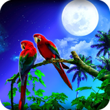 com.wallpaperparrotwallpaper.wallpaperhd