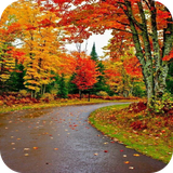 com.wAutumn_12736196