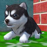 com.vARDAmirsGameStudio.CutePocketPuppy3D