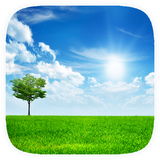 sunny.bright.sky.wallpaper