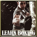learnboxing.tutorialboxing