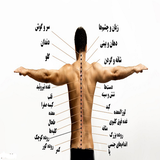 ir.razhae.badan.d