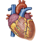 com.m.d.android.ghalb