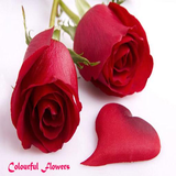 com.specoff.flowers