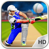 com.amgames.cricketworldcup