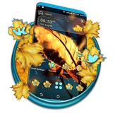 com.prettythemes.autumn.leaf.water.drop