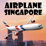 com.quantumdesigngroup.airplanesingapore