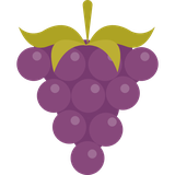 ir.ebm.fruitapp