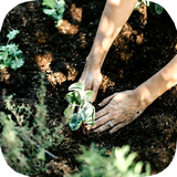 ir.tinasoft.plant_care_at_home