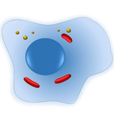 com.northwestprojectdevelopment.prepcellbio101